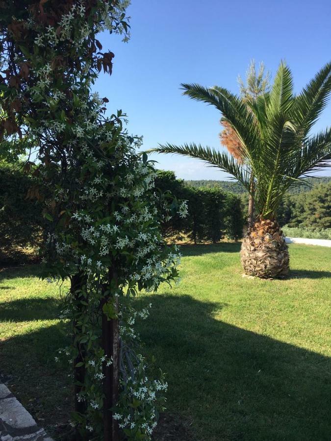 3 Bedroom Villa In Elani Villas Chalkidiki Szíviri Kültér fotó